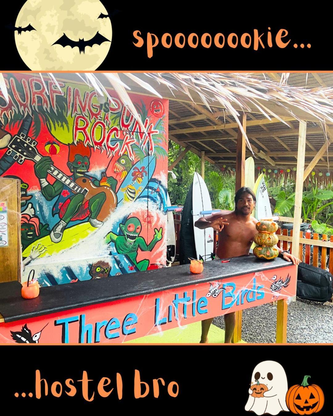 Three Little Birds Surf Hostel 제너럴 루나 외부 사진
